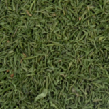 Dill